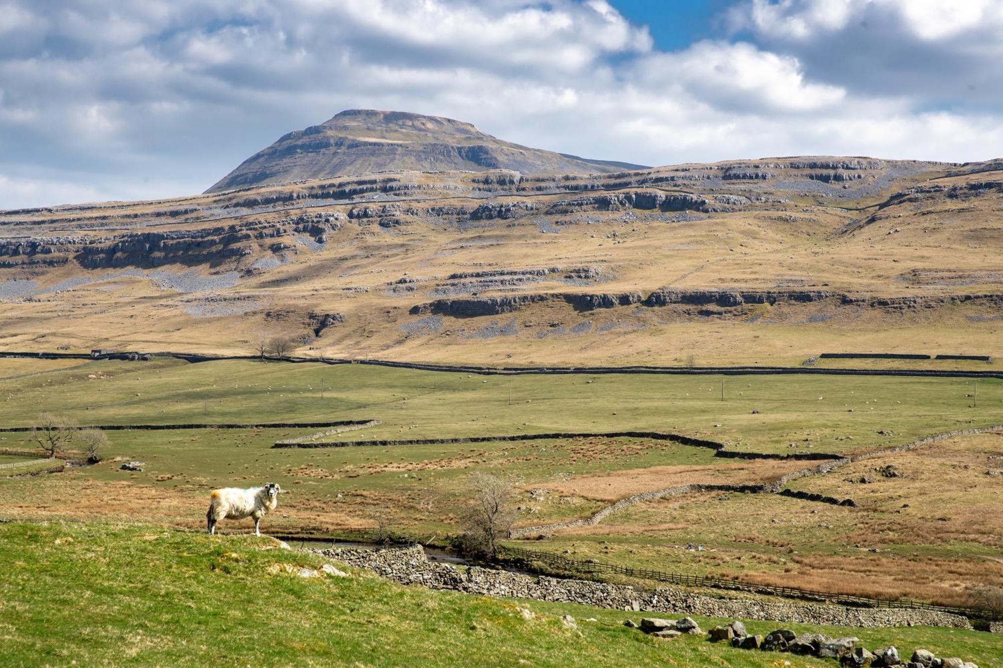 Falls Park Ingleton  Exteriör bild